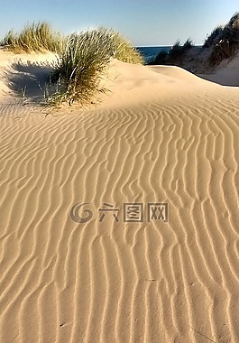 沙丘,砂,景观