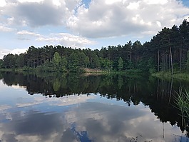 風景,天空,性質