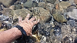 海,手,禪