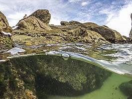 跳水,海灘,mar