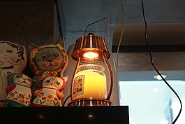 貓,燈籠,光明
