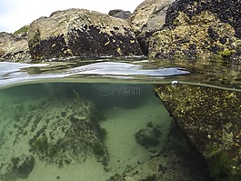 跳水,海灘,mar