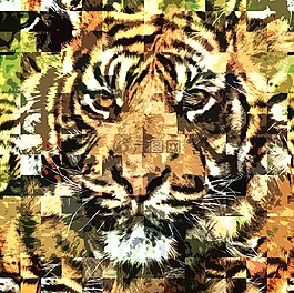 虎,動物園,抽象