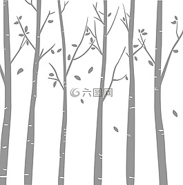 阿沃莱特斯,树,叶