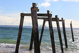 海灘,老,碼頭