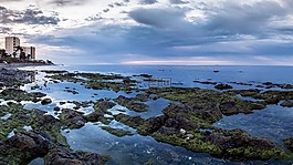 岸,海灘,黎明