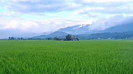 伯朗大道,臺東,臺灣