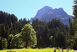 瑞士,山,景觀