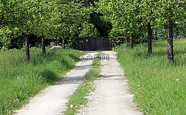 訪問,車道,目標(biāo)