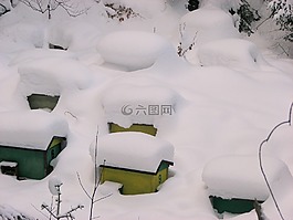 ul,乌勒,冬季