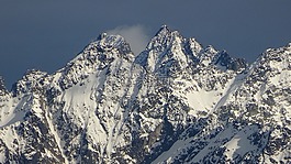 上衣,冬奧會,山