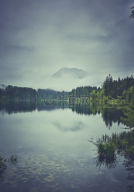 霧,湖,景觀