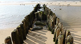 北海,海灘,防波堤