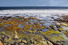 海,海滩,滩海