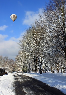 冬天,雪,寒冬