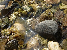 水,河,石
