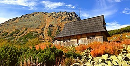 冬奧會(huì),山,秋
