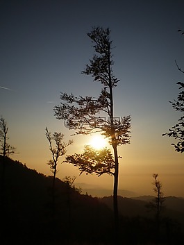 kandel,日落,abendstimmung