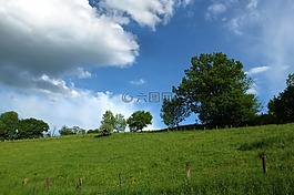景觀,天空,云