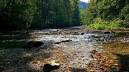 河,wutach,wutach 峽谷
