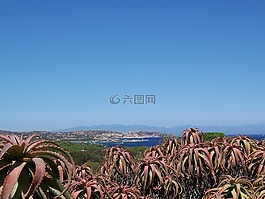 caprera,海,撒丁岛