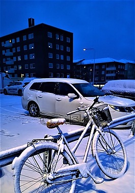 冬天,雪,周期