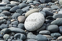 巖,白,海洋