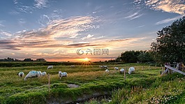 日落,pellworm,太阳