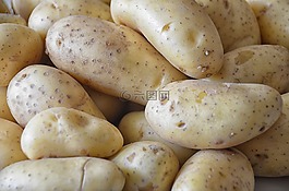 土豆,蔬菜,食品