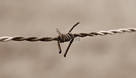 鐵絲網(wǎng),籬笆,老