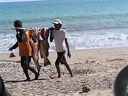 海洋,漁,海灘