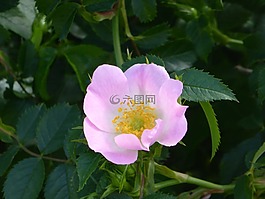 草地,水,性質(zhì)