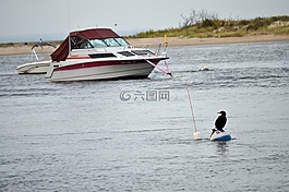 船,水,鳥