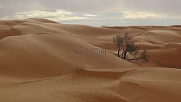 突尼斯,沙漠,沙