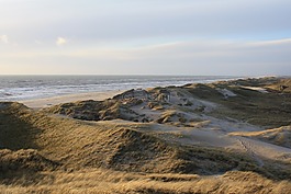 丹麥,北海,沙丘