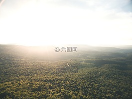 森林,自然,太陽