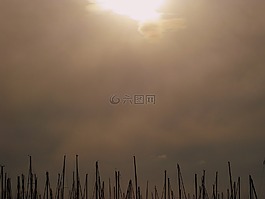 夕陽,海,瑞典