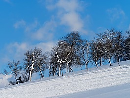 景观,温特斯,小山