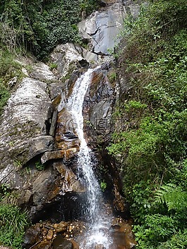 瀑布,斯里蘭卡,亞當斯山