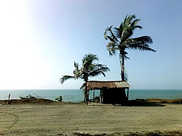 手掌,海,房子