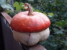 南瓜,蔬菜,水果