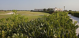 高爾夫球場,植物,普拉托