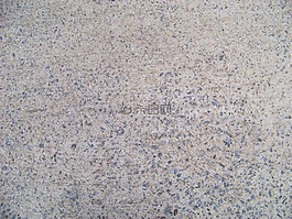 水泥,灰色,紋理