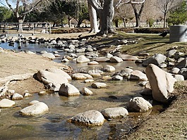 河床,河,將