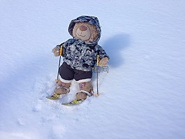 泰迪熊,滑雪,雪