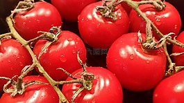 蕃茄,蔬菜,紅色