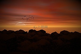太陽,海,鳥類