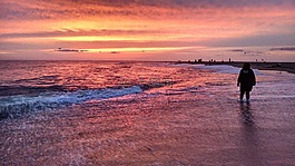 日落,海岸線,海灘
