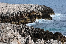 初見,海,蒙特卡羅