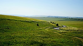 景觀,農(nóng)村,草